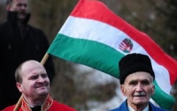 Украине приходится отбиваться еще и от Венгрии