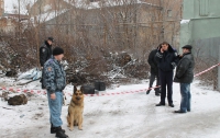 В Ужгороде собаки вынюхали убийцу, погубившего малолетку
