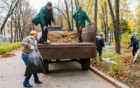 Коммунальщики просят киевлян не сжигать листья во дворах