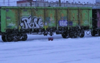 На Одесской железной дороге милиция задержала 2-х граффити-художников на вагонах