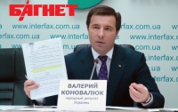 Оппозиция хочет сорвать саммит Украина-ЕС, - Коновалюк