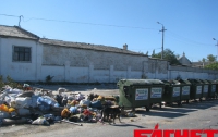 Симферополь погряз в мусоре (ФОТО)