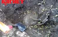 На одном из севастопольских огородов откопали 100-килограммовую авиабомбу (ФОТО)