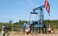 Украина выставит на аукцион 7 лицензий на нефтегазовые площади