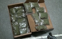 На Днепропетровщине силовики изъяли 7 килограмм «травки» на 65 тысяч