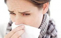 Эпидемия гриппа в Украине ожидается в декабре