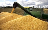 Чиновники распределили квоты на экспорт двух миллионов тонн зерна