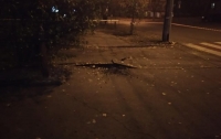 Полиция рассказала о взрыве в центре Киева