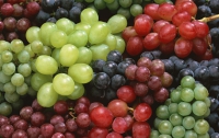 Для украинцев должно быть вдоволь винограда