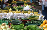 Россия отказалась от овощей из ЕС 