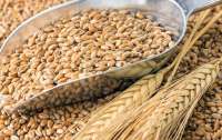 Украина уменьшила экспортирование зерновых