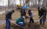 Харьковчане отдают предпочтение необычным деревьям