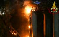 В Италии из-за мощного пожара рухнул мост (видео)