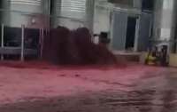 Красное вино затопило испанский завод