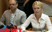 Власенко перестал платить алименты, когда Тимошенко лишилась премьерства