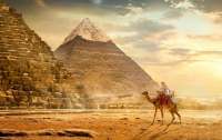 Науковці розгадали таємницю бабуїнів Стародавнього Єгипту