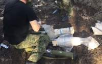 После лесного пожара на Донбассе нашли схрон с гранатометами