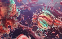 Лекарство от рака способно вылечить от ВИЧ – ученые