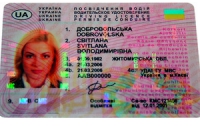 Водительские удостоверения украинцев признают в России