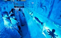Интересно: ледяной аквариум (ФОТО)