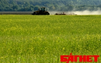 Украина потеряла за 5 лет почти 100 тысяч гектаров сельхозугодий