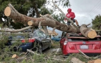 В США из-за шторма автомобили провалились под асфальт (видео)