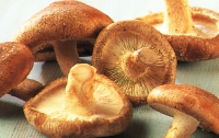 В Гайсине ребенок отравился грибами