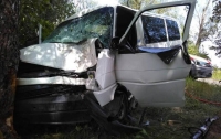 Под Черниговом микроавтобус влетел в дерево, пострадали четыре человека
