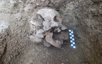 В Италии нашли древнее захоронение 