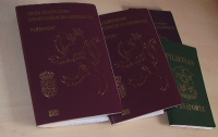 Украинские биометрические паспорта будут намного дешевле, чем в Европе