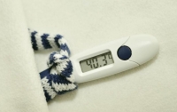 В Чернигове от гриппа умерли беременная женщина и мужчина