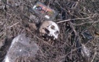 Недалеко от Одессы на свалке нашли... человеческий череп