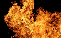 В Запорожской области во время пожара погиб человек
