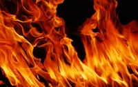Крупный пожар на Донбассе: погибли два человека