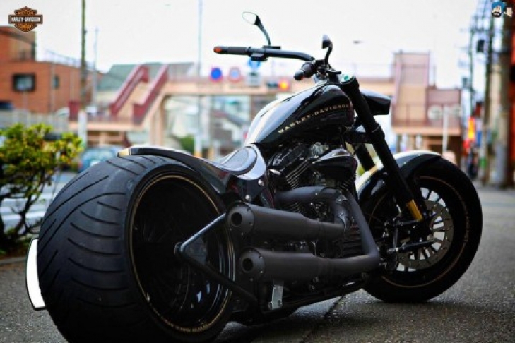 Harley-Davidson Motorcycles - Models, Photos, Reviews | sushi-edut.ru