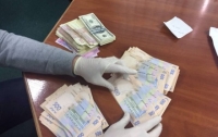 Должностных лиц черкасского леспредприятия уличили в крупной взятке