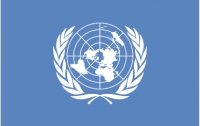 Сотрудники ООН перейдут на биометрические паспорта