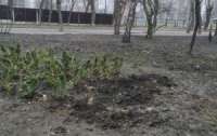 Неизвестные злобные расхитители охотятся на киевские кусты