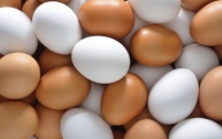 Яйца в Украине подорожали на треть