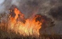 В Одесской области горел заповедник