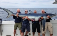 В Великобритании поймали рекордно огромную акулу