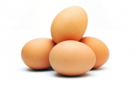 «Овостар» наторговал яйцами на 13 миллионов долларов