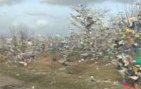 Мусорный апокалипсис случился в Николаевской области (видео)
