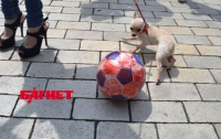 Анти-ЕВРО: в Киеве сыграли «окровавленным» мячом (ФОТО)