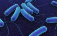 E.coli заражает питьевую воду, - эксперты 