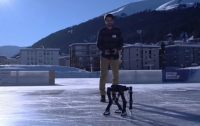 Четвероногий робот Skaterbot вышел на лед в Швейцарии (ВИДЕО)