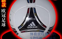 Китайцы выкрали модель официального мяча ЕВРО-2012? (ФОТО)