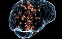Ученые создали мини-мозг при помощи 3D-печати