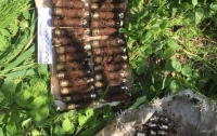 На Луганщине обнаружили тайник с боеприпасами российских боевиков