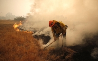 Пожары в Калифорнии: число пропавших без вести превысило 630 человек